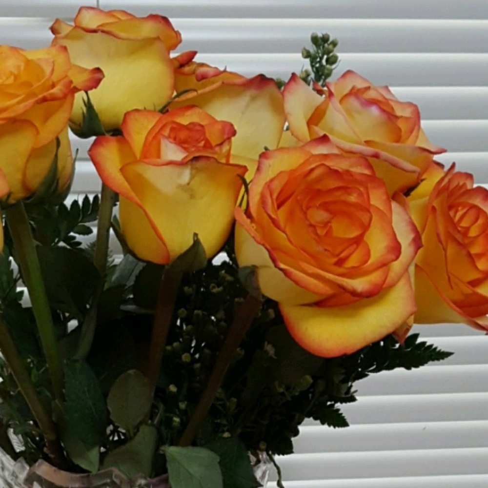 Meet your Posher, Carolyn